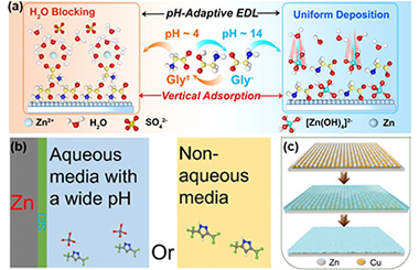 Optimization strategy for rechargeable Zn metal batteries over wide-pH aqueous electrolytes 2024.100407